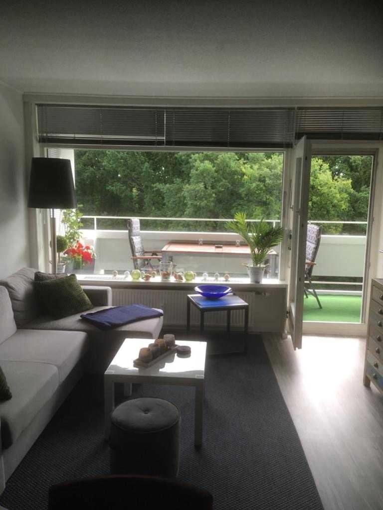 Ferienwohnung Kofferfisch 希尔克道夫 外观 照片